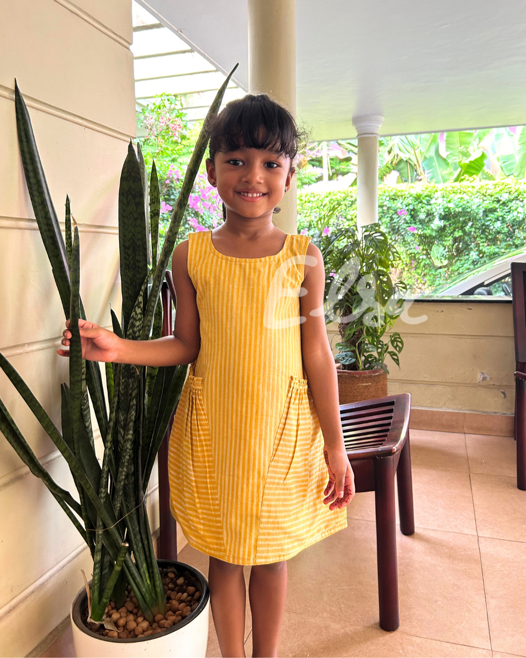 Yellow Daisy