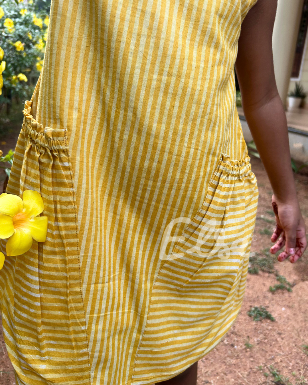 Yellow Daisy