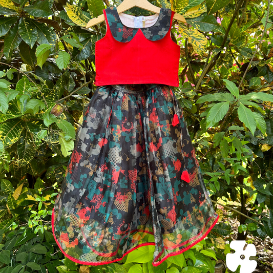 Organza skirt with red Peter Pan collar