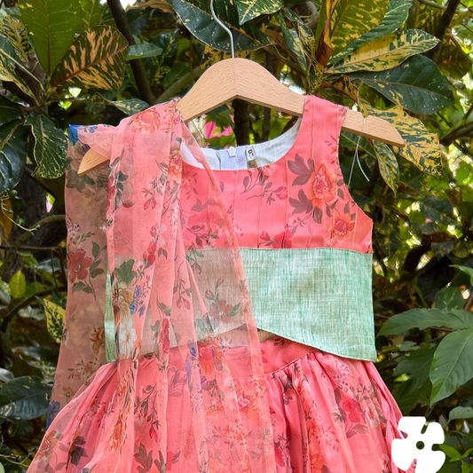 Organza skirt and top with shawl