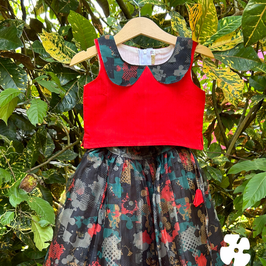 Organza skirt with red Peter Pan collar