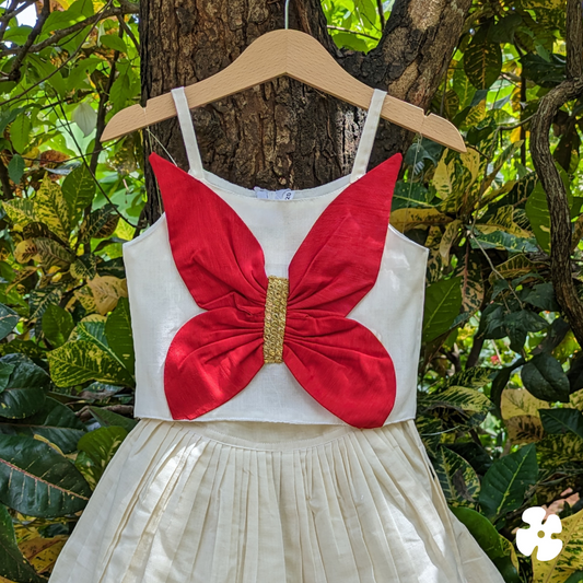 Red butterfly skirt and top