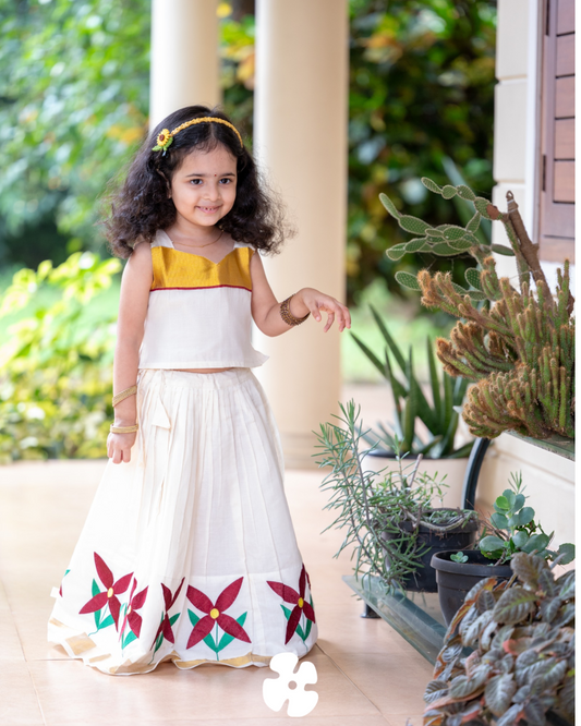 Flower embroidery skirt and top