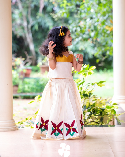 Flower embroidery skirt and top