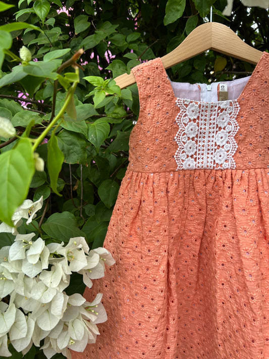 The Orange Hakoba Dress