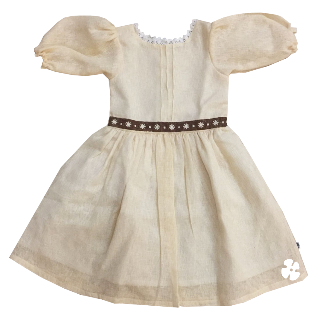 Fit and flare frock with embroidery