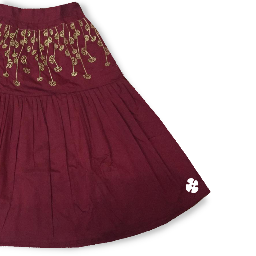 Golden embroidery skirt and top