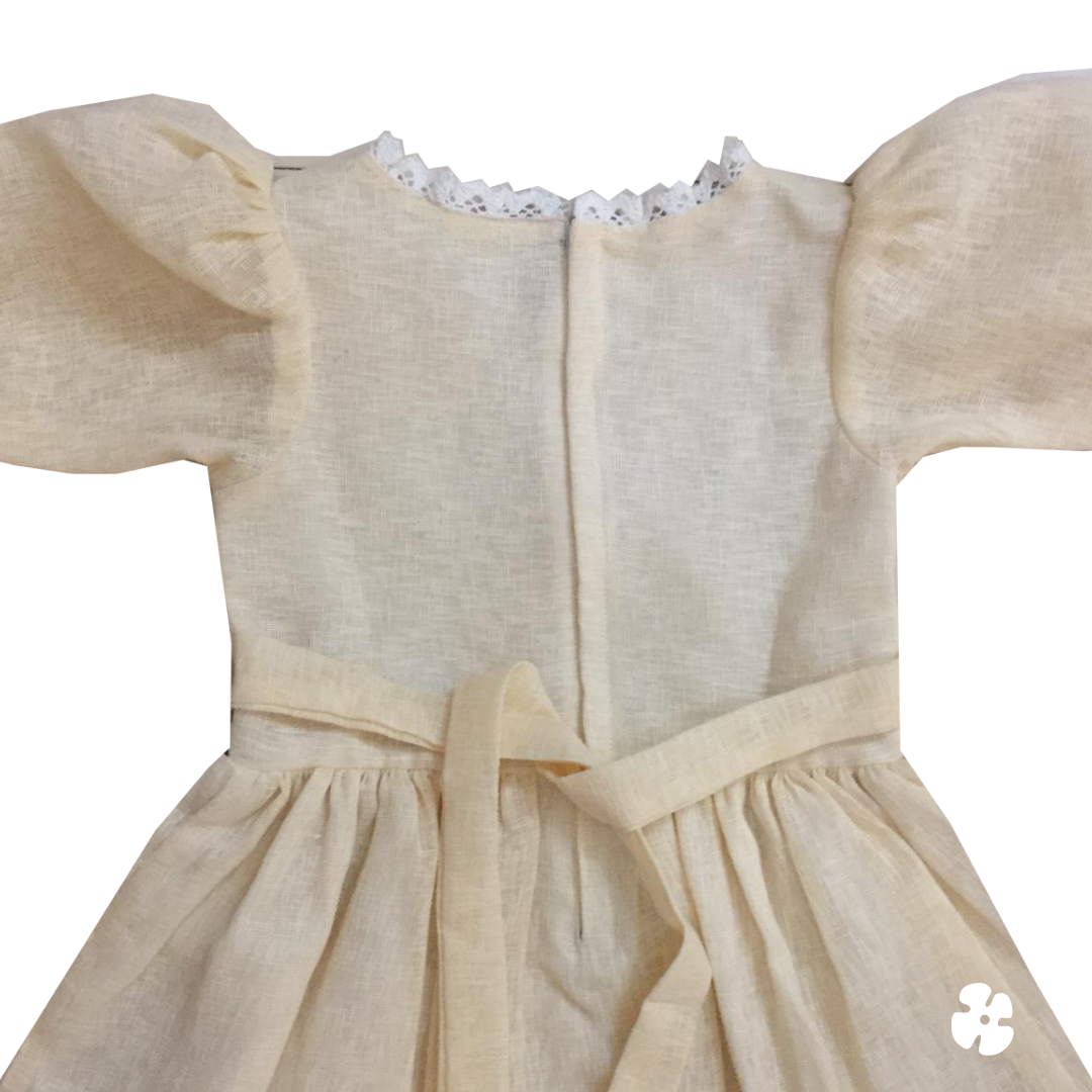 Fit and flare frock with embroidery
