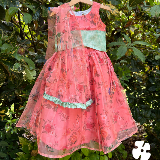 Organza skirt and top with shawl