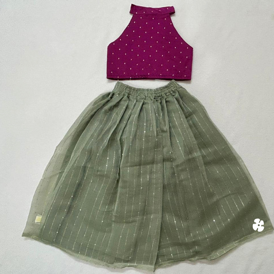 Halter neck net skirt and top