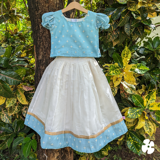 Puff sleeve blue top and skirt