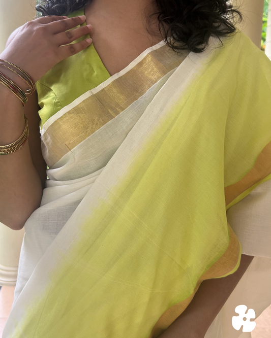 The Parrot Whisper Saree