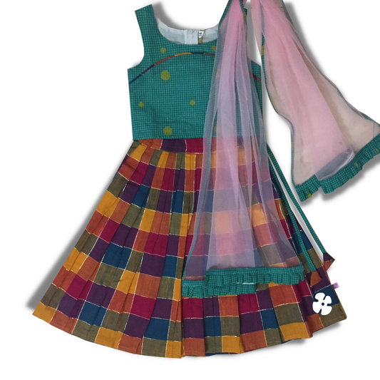 check skirt & top with net shawl